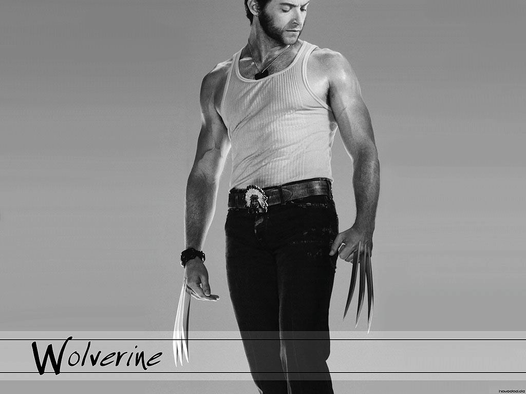 http://i173.photobucket.com/albums/w49/x__thekookie/WolverineWallpaper.jpg