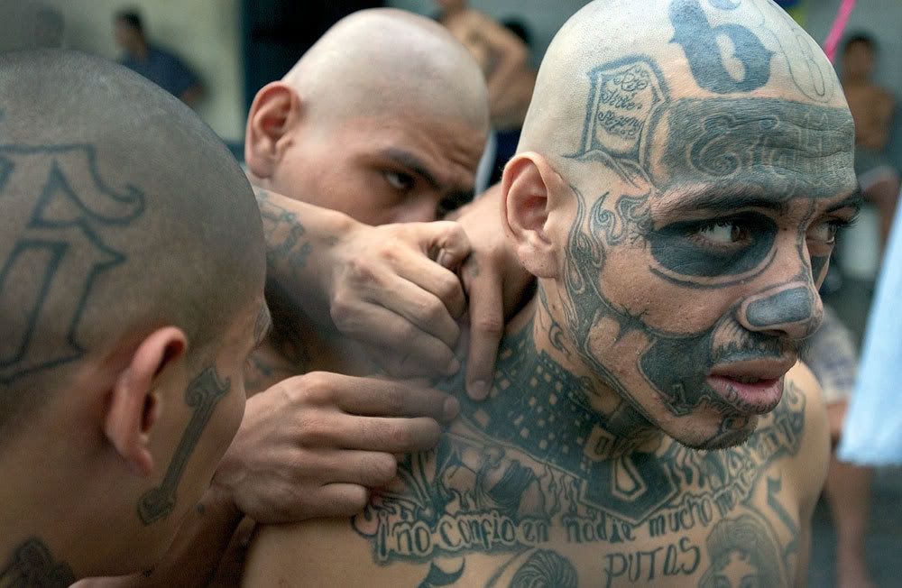 mexican mafia tattoos. Pictures+of+mexican+mafia+