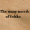 av_avatar_sokka_000.gif Sokka Moods image by Fearfulwarrior