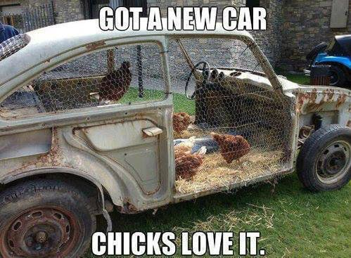 chicks-love-my-new-car_zpsfb94fe63.png