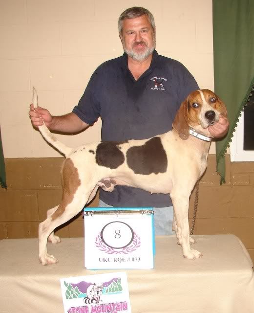 UKC Forums Stone Mtn Coon Club / Rqe 73 Hunt Results/w Pics