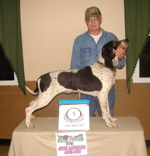 UKC Forums Stone Mtn Coon Club / Rqe 73 Hunt Results/w Pics
