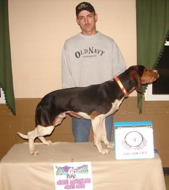UKC Forums Stone Mtn Coon Club / Rqe 73 Hunt Results/w Pics