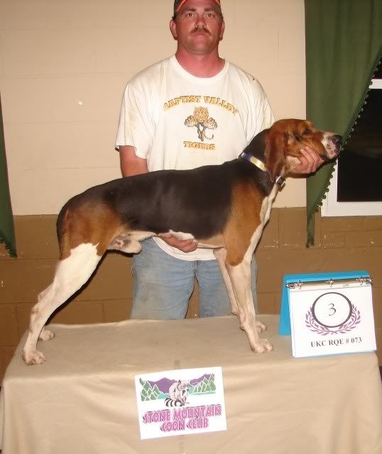 UKC Forums Stone Mtn Coon Club / Rqe 73 Hunt Results/w Pics