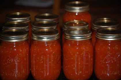 canning,salsa,gardening,recipe