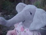 Ellie-phant - Just Chillin' As She Waits For Her New Home