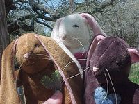 Hoppy Bunnies - Wool Stuffed, Waldorf Inspired Hoppy Bunnies - Wool Stuffed, Waldorf Inspired