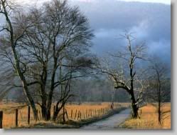 groups yahoo , yahoo groups mail ,  , yahoogroups , 34262 * Sparks Lane, Cades Cove, Great Smoky Mountains National Park, Tennessee * 1152 x 864 * (311KB)