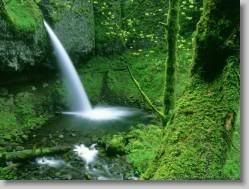 groups yahoo , yahoo groups mail ,  , yahoogroups , 34414 * Ponytail Falls, Columbia River Gorge, Oregon * 1152 x 864 * (281KB)