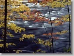 groups yahoo , yahoo groups mail ,  , yahoogroups , 34549 * Autumn Colors a Rushing River * 1152 x 864 * (253KB)