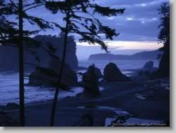 groups yahoo , yahoo groups mail ,  , yahoogroups , 34868 * Ruby Beach, Olympic National Park, Washington * 1152 x 864 * (144KB)