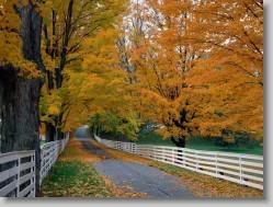 groups yahoo , yahoo groups mail ,  , yahoogroups , 34896 * Scenic Backroad, New Hampshire * 1152 x 864 * (421KB)