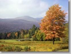 groups yahoo , yahoo groups mail ,  , yahoogroups , 34904 * Mount Mansfield, Vermont * 1152 x 864 * (268KB)