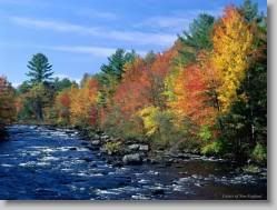 groups yahoo , yahoo groups mail ,  , yahoogroups , 34908 * Colors of New England * 1152 x 864 * (333KB)