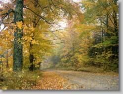 groups yahoo , yahoo groups mail ,  , yahoogroups , 34932 * Crisp Autumn Afternoon, Vermont * 1152 x 864 * (424KB)