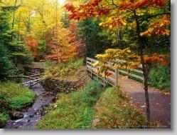 groups yahoo , yahoo groups mail ,  , yahoogroups , 35099 * Munising Falls Trail, Alger County, Michigan * 1152 x 864 * (384KB)