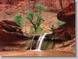 groups yahoo , yahoo groups mail ,  , yahoogroups , 4045 * Coyote Gulch, Escalante River Canyons, Utah * 1152 x 864 * (255KB)