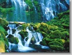 groups yahoo , yahoo groups mail ,  , yahoogroups , 4048 * Proxy Falls, Willamette National Forest, Oregon * 1152 x 864 * (264KB)