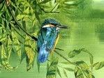 VALUBLE PAINTINGS - BIRDS 18