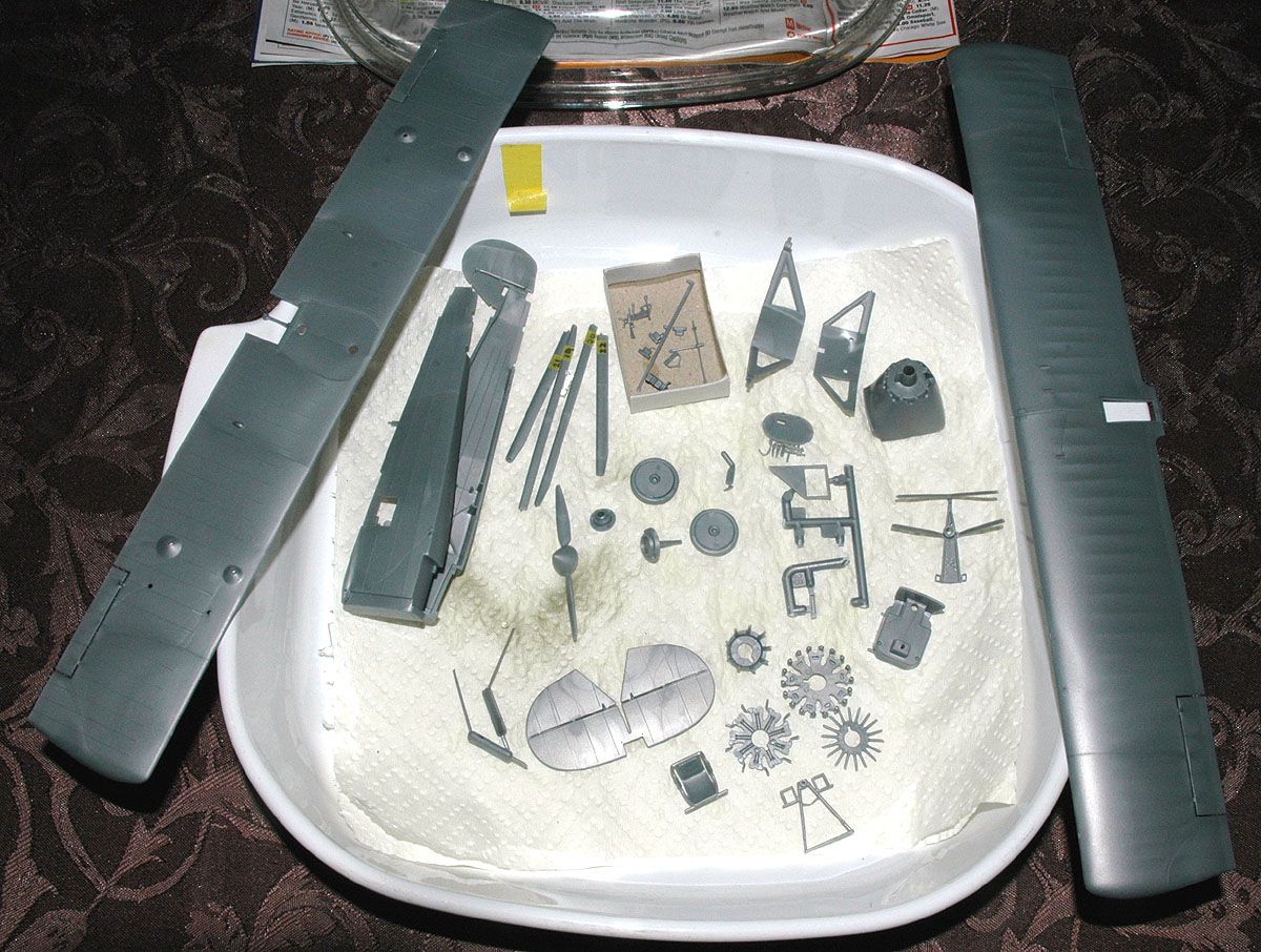 DSC_5835a.jpg
