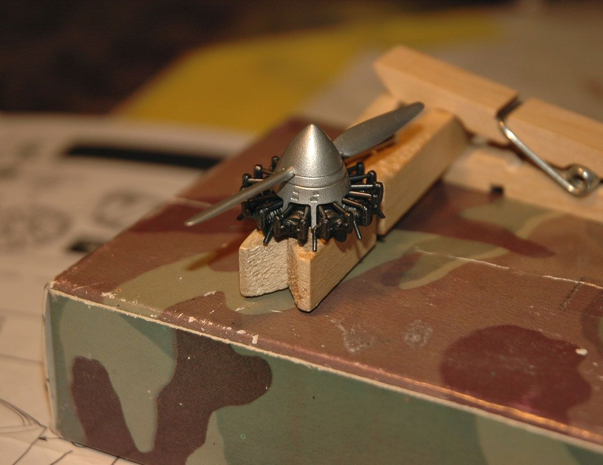 DSC_5843aa1.jpg