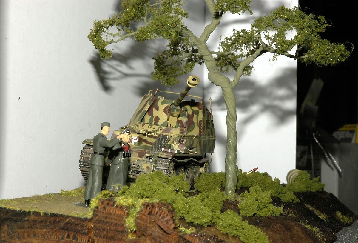 DSC0250x1.jpg
