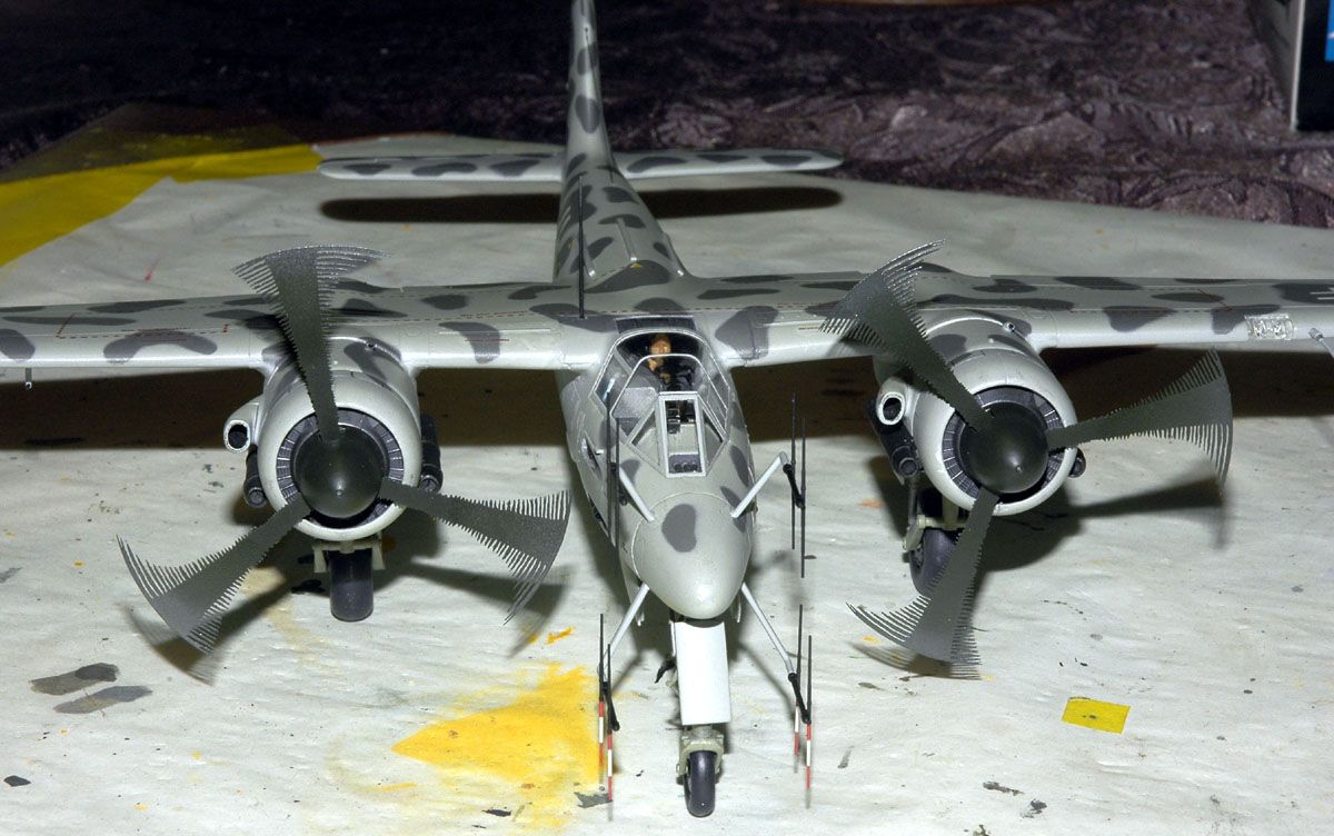 DSC3879f1.jpg