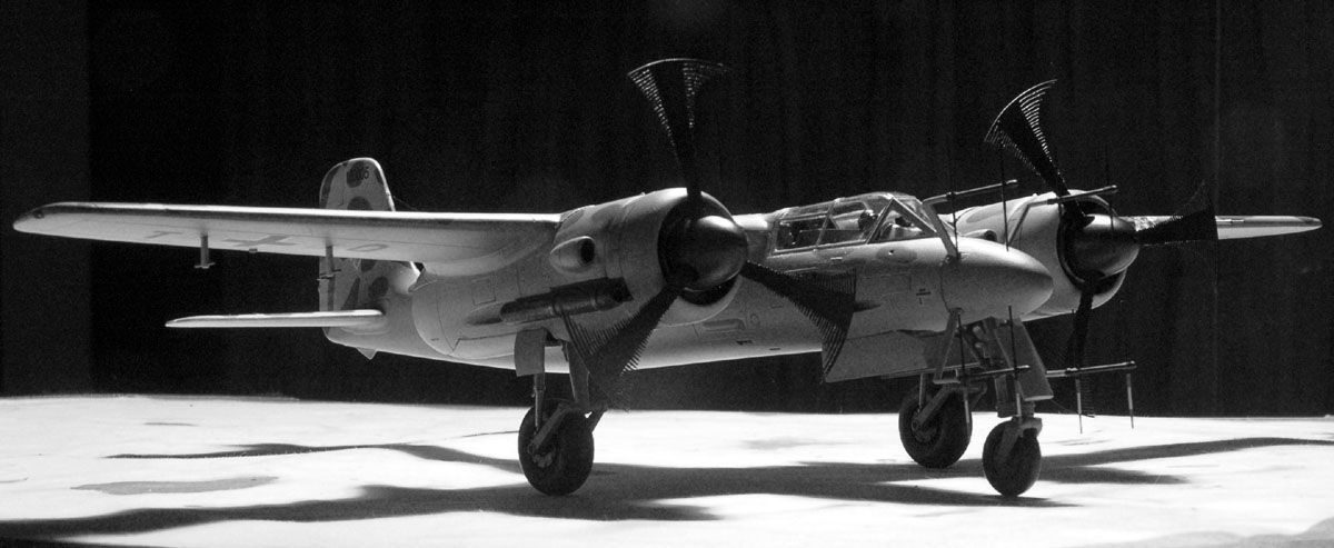 DSC3889f1s.jpg