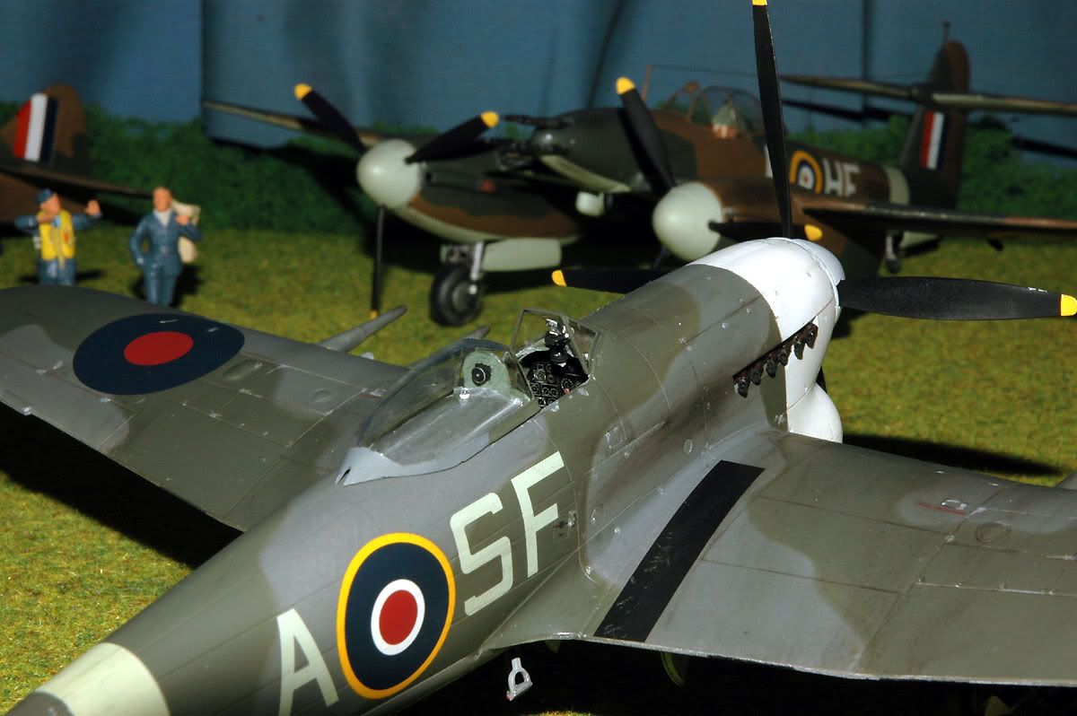 DSC_0995xff.jpg