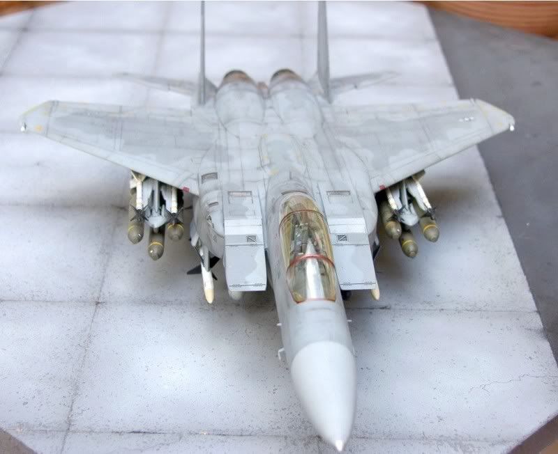 Seagle39.jpg
