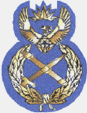 Chief of the Air Force Chief of the Air Force