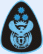 Chief Warrant Officer Chief Warrant Officer