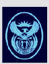 Warrant Officer Class 2 Warrant Officer Class 2
