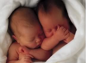 twin angel baby\'s Pictures, Images and Photos
