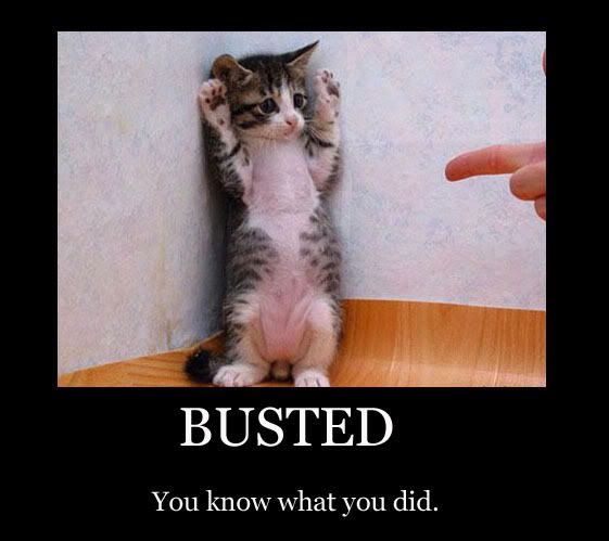Busted-1.jpg