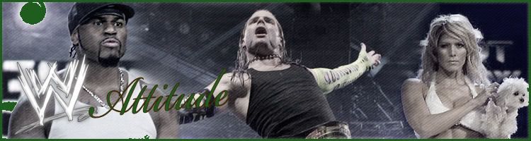 WWE ATTITUDE BANNER Pictures, Images and Photos