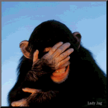 monkeylaughing.gif picture by chemosabi1