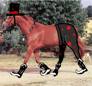 happy-horse.gif picture by chemosabi1