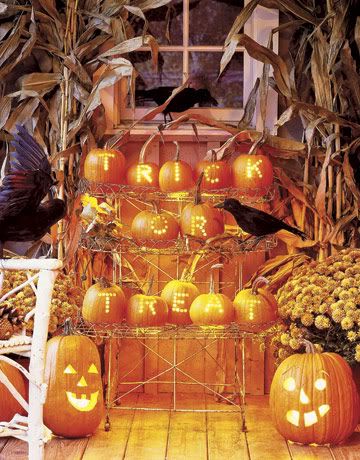 Small-pumpkins-rack-message-GTL1005-de.jpg