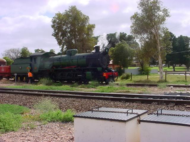 ARKQuorn-07.jpg