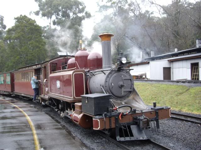 IMGP0401.jpg