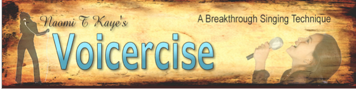 Voicercise Logo Voicercise How to become a singer