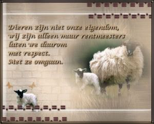 dieren.jpg picture by lotgenotenfibromyalgie