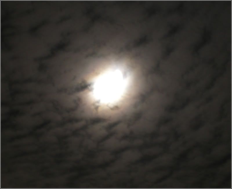 lua.jpg