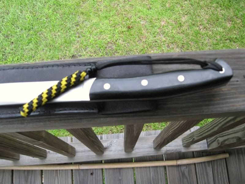 [Linked Image from i173.photobucket.com]