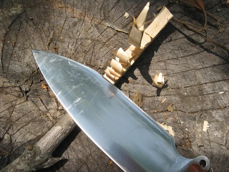 [Linked Image from i173.photobucket.com]