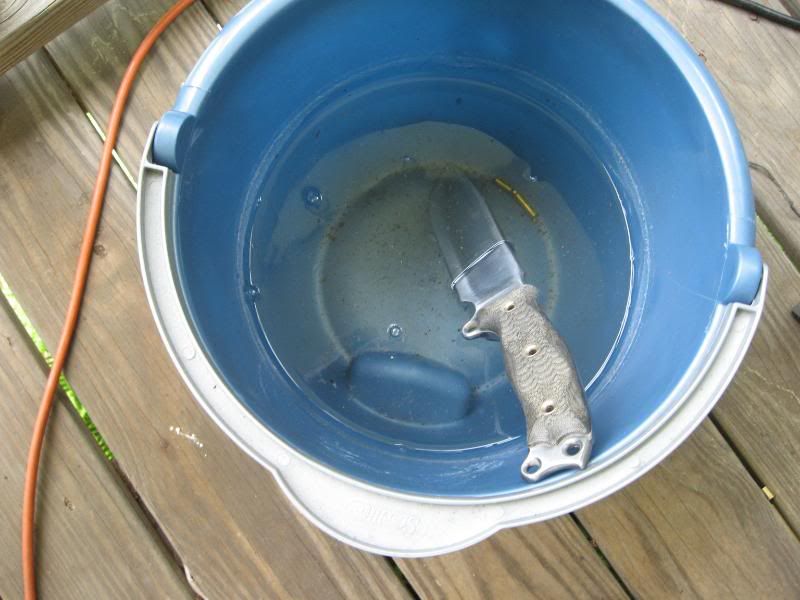 [Linked Image from i173.photobucket.com]
