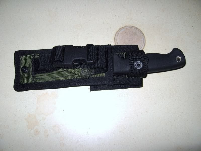 [Linked Image from i173.photobucket.com]