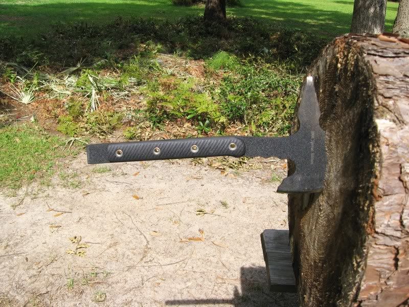 [Linked Image from i173.photobucket.com]