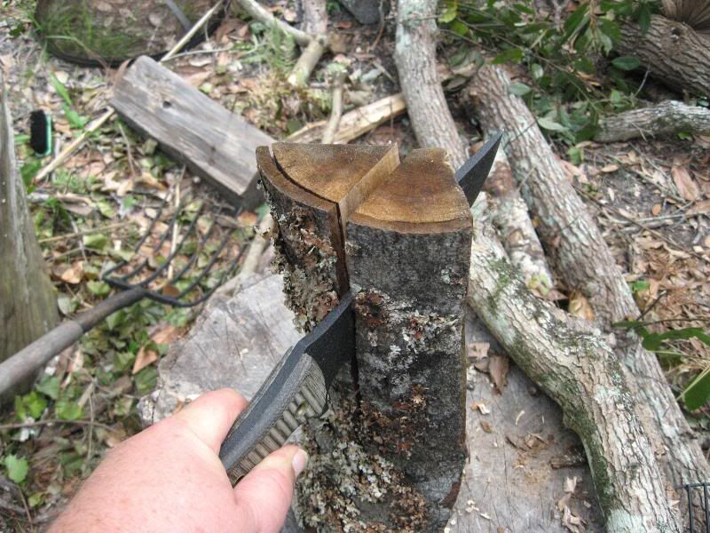[Linked Image from i173.photobucket.com]